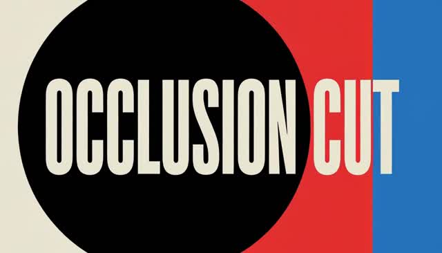 28 OCCLUSION CUT: Übergang durch Verdeckung