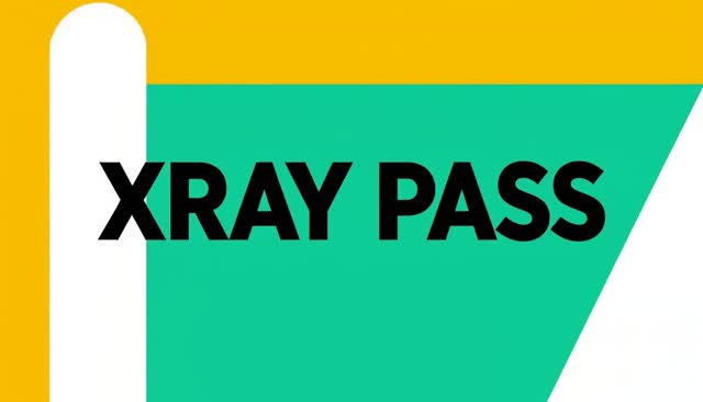 39 XRAY PASS: Durchleuchtungsscan im Röntgenstil